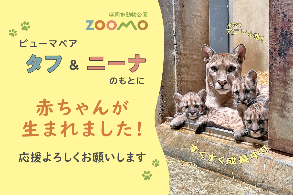 アート・写真 k*o様 アクリル絵画 猫 今日は皆んなでお水たくさん
